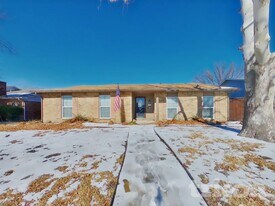 3314 Sam Rayburn Run in Carrollton, TX - Building Photo