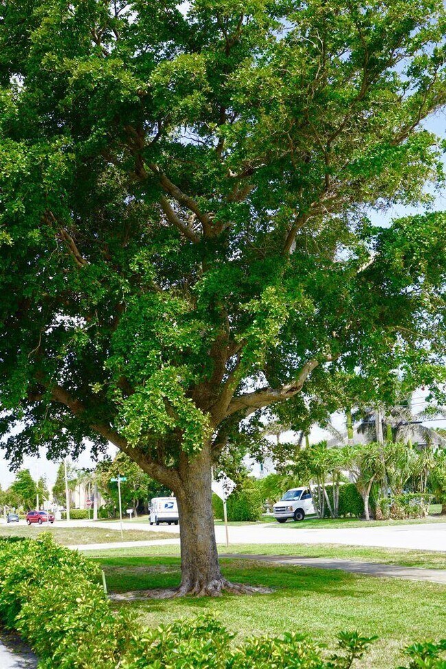 690 Kingsbridge St in Boca Raton, FL - Building Photo - Building Photo