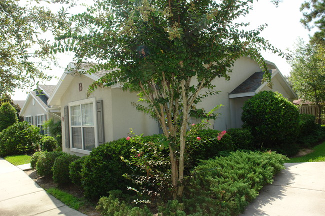 Pinewood Terrace Apartments in Gainesville, FL - Building Photo - Building Photo