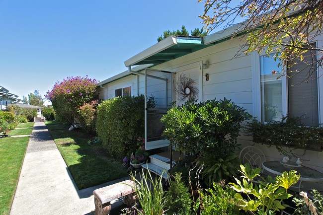 135 Redwood Ave in Corte Madera, CA - Foto de edificio - Building Photo