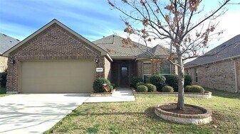 1020 Lake Meadow Ln in Little Elm, TX - Building Photo
