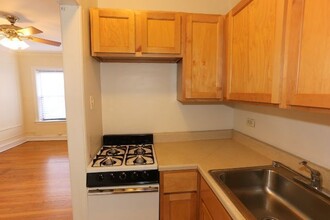 1167 N Dearborn in Chicago, IL - Building Photo - Building Photo