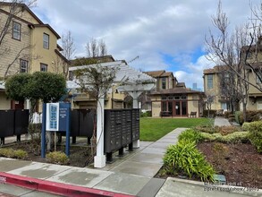 238 Peppermint Tree Terrace in Sunnyvale, CA - Building Photo - Building Photo