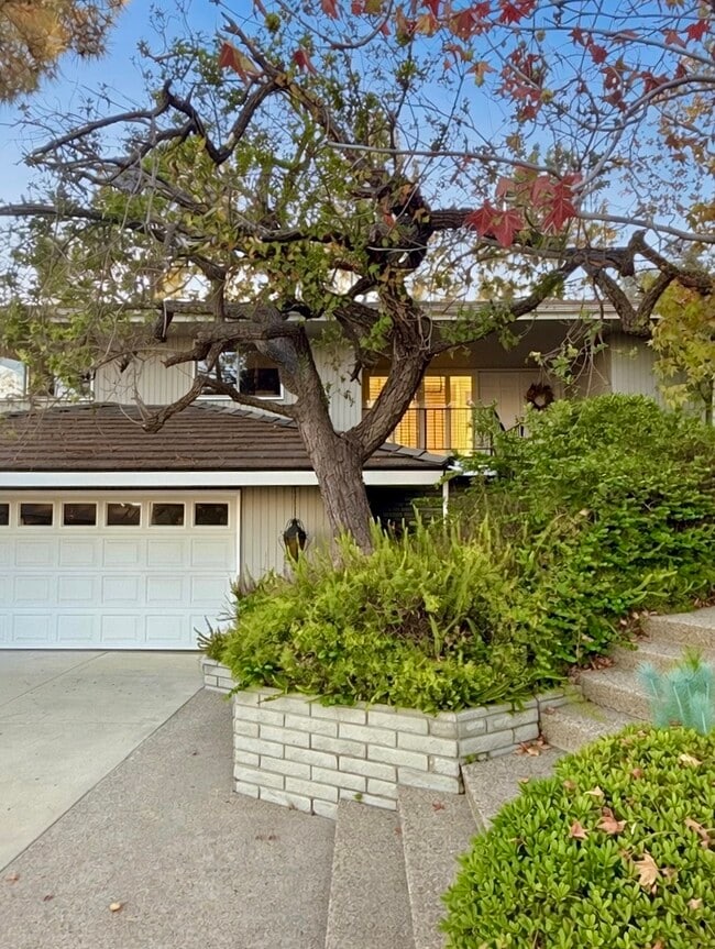 490 Starlight Crest Dr in La Cañada Flintridge, CA - Building Photo - Building Photo