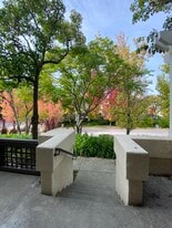 439 Camille Cir, Unit 16 in San Jose, CA - Building Photo