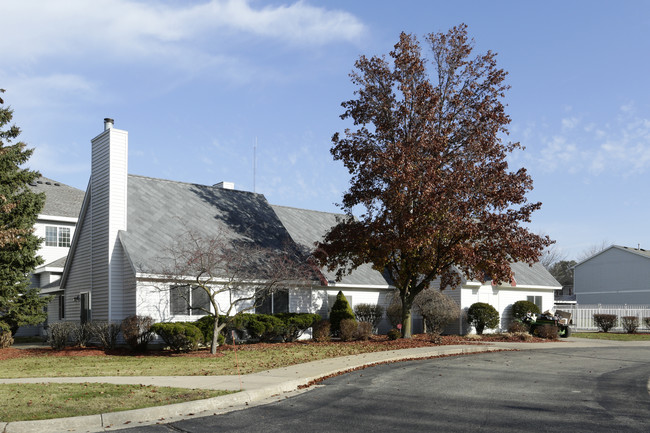 Valley View Apartments in Ionia, MI - Building Photo - Building Photo