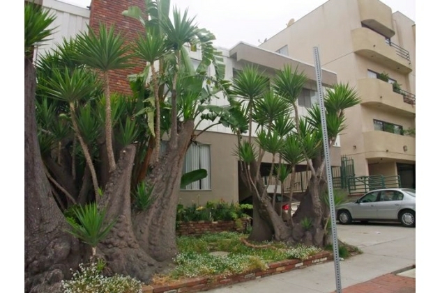 1745 Colby Ave in Los Angeles, CA - Foto de edificio - Building Photo