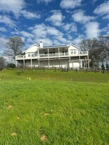 515 Rosebush Ct in Angels Camp, CA - Building Photo