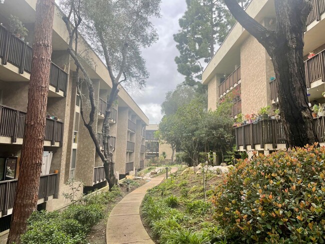 property at 6304 Friars Rd