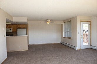 980 Lakepoint Dr in Frisco, CO - Building Photo - Building Photo