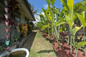 44-12 Kaimalu Pl in Kaneohe, HI - Foto de edificio - Building Photo