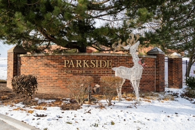 585 W Parkside Dr in Palatine, IL - Building Photo