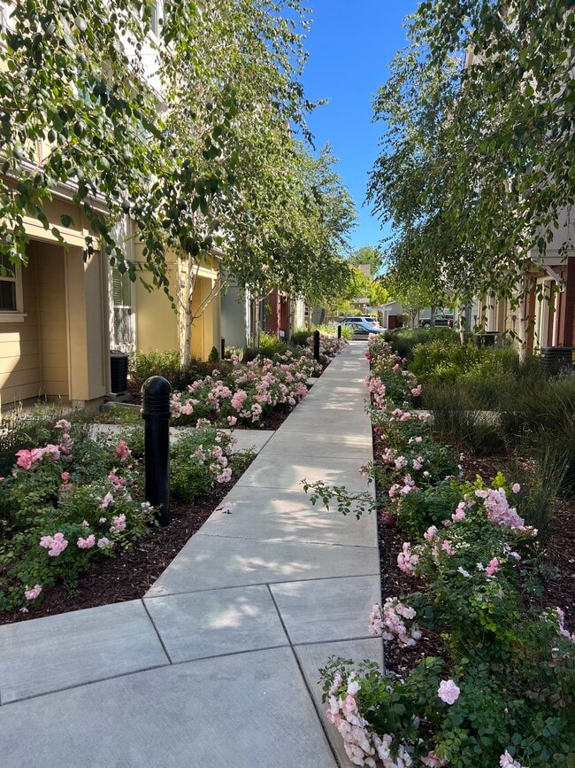 918 Arietta Dr in Mountain View, CA - Foto de edificio - Building Photo