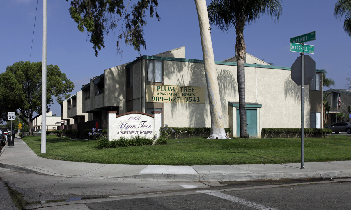 Plum Tree Apartments in Chino, CA - Building Photo