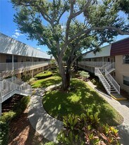 10036 63rd Ave N in St. Petersburg, FL - Building Photo