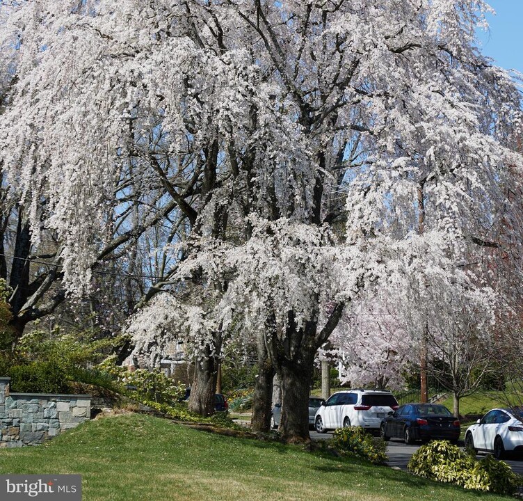 5310 Oakland Rd in Chevy Chase, MD - Foto de edificio