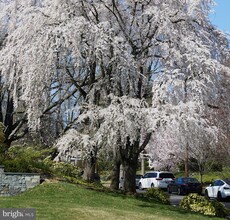 5310 Oakland Rd in Chevy Chase, MD - Foto de edificio - Building Photo