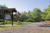 Lakeview Tacoma