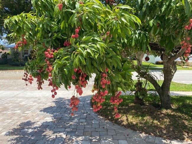 1251 SW 11th Terrace