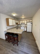 201 N Linden St, Unit 4 in Normal, IL - Building Photo - Building Photo