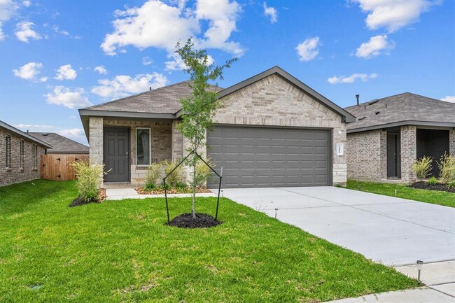 23819 Desert Peach Dr in Spring, TX - Building Photo - Building Photo