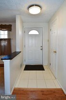 8417 Cedar Falls Ct in Springfield, VA - Building Photo