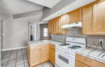 1100 Logan St in Denver, CO - Building Photo - Building Photo