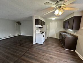 115 Westminster Ave in Youngstown, OH - Building Photo - Building Photo