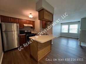 1251 Wyndham Dr in Palatine, IL - Building Photo - Building Photo