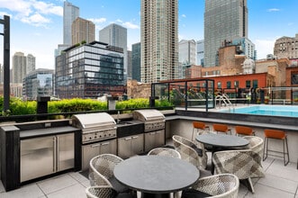 220 WIL in Chicago, IL - Building Photo - Building Photo