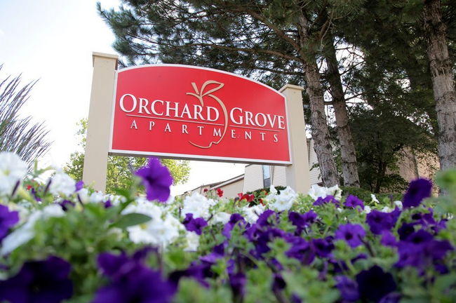 Orchard Grove