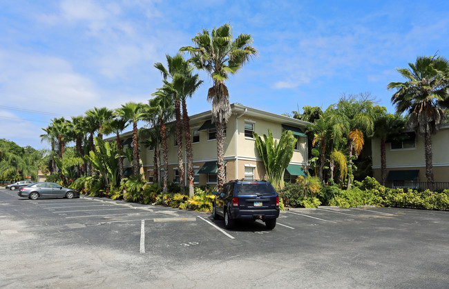 Palm Grove Apartments in Tampa, FL - Building Photo - Building Photo