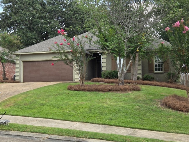 263 Greensview Dr in Brandon, MS - Building Photo - Building Photo