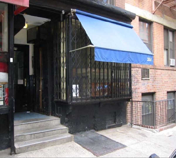 337 E 9th St in New York, NY - Building Photo - Building Photo