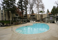 Pine Brook Apartments in Bakersfield, CA - Building Photo - Building Photo