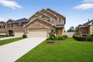 16817 Pink Wintergreen Dr in Conroe, TX - Building Photo