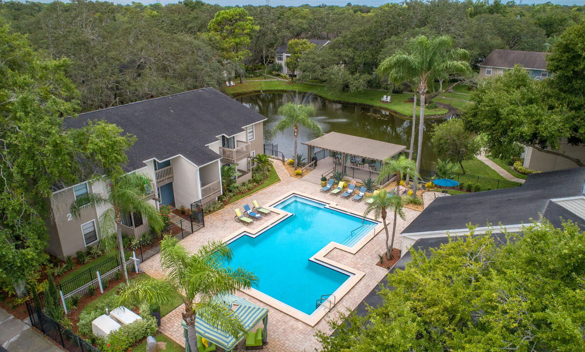 Stillwater Palms in Palm Harbor, FL - Building Photo