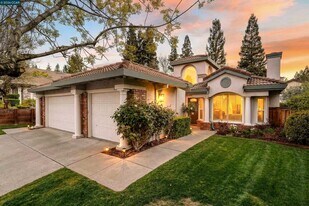 313 Deepcreek Ct in Danville, CA - Building Photo