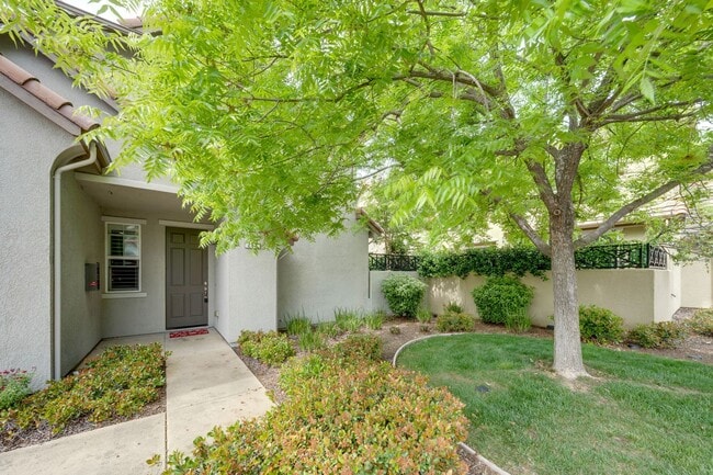 205 Monet Ln in Folsom, CA - Building Photo - Building Photo