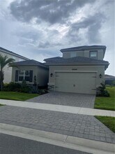 32583 Tree of Life Ave in Wesley Chapel, FL - Building Photo - Building Photo