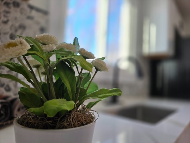 20628 Alger St in St. Clair Shores, MI - Building Photo - Building Photo