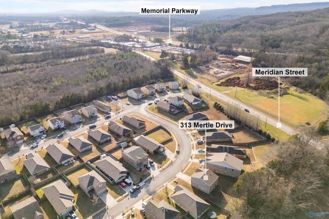 313 Mertle Dr in Huntsville, AL - Building Photo - Building Photo
