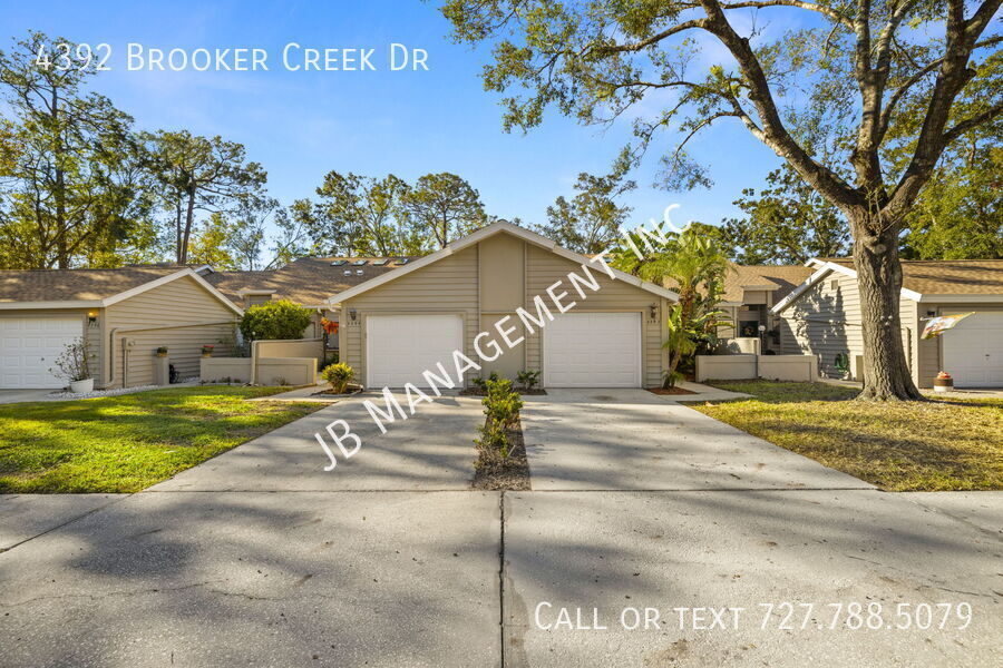 4392 Brooker Creek Dr in Palm Harbor, FL - Building Photo