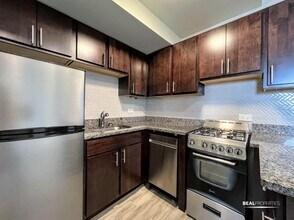 1435 N Dearborn St in Chicago, IL - Building Photo - Building Photo