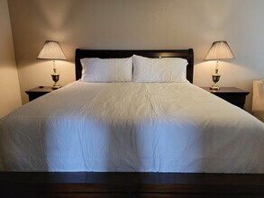 479 Black Feather Loop, Unit SI ID1045092P in Castle Rock, CO - Building Photo - Building Photo