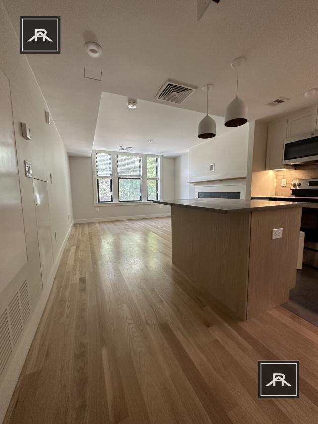 50 John F. Kennedy St in Cambridge, MA - Building Photo - Building Photo