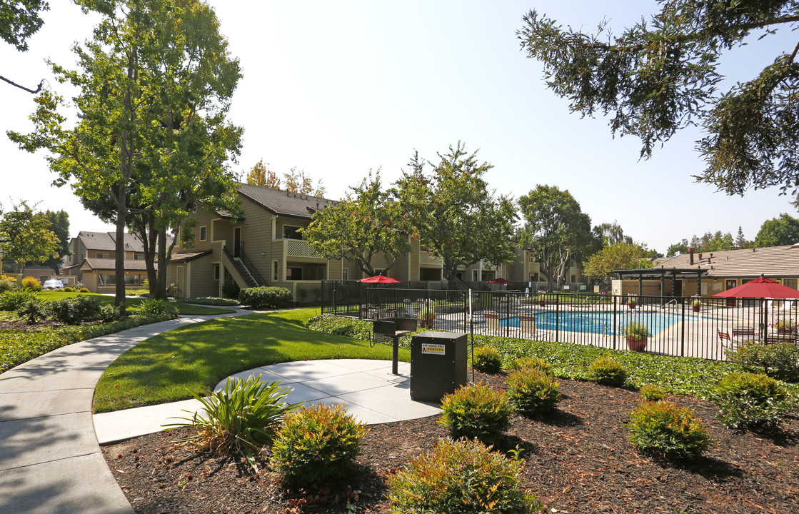 Amberwood Apartments in San Jose, CA - Building Photo