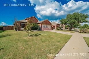 310 Chinaberry Trail in Forney, TX - Building Photo