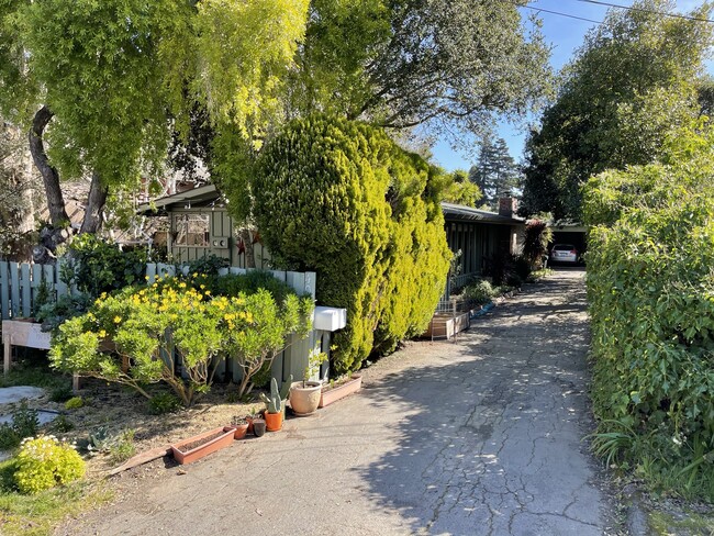 409 Maple St in Mill Valley, CA - Building Photo - Building Photo