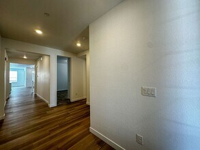 576 Nightsky St in Erie, CO - Building Photo - Building Photo